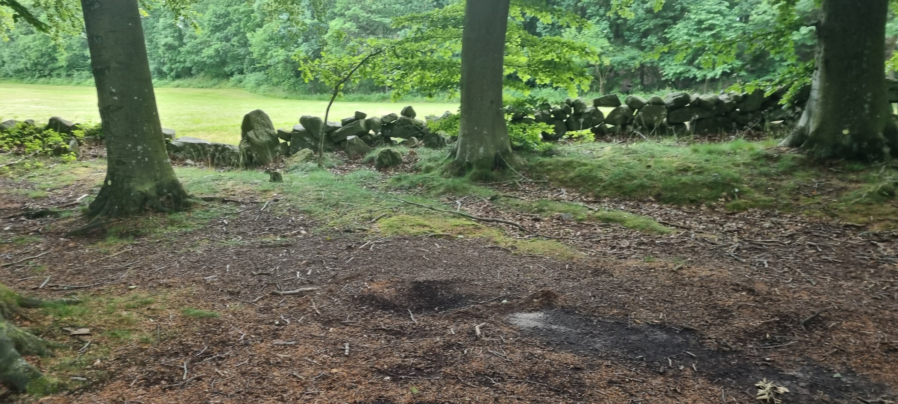 Gå tur med borgmesterkandidat Anne Thomas