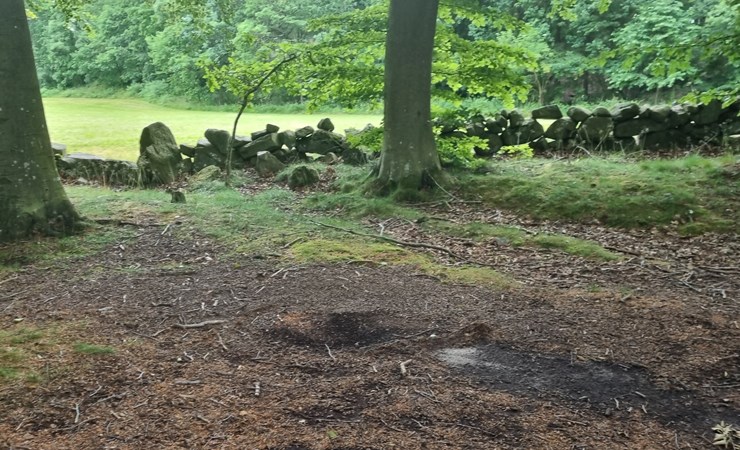 Gå tur med borgmesterkandidat Anne Thomas