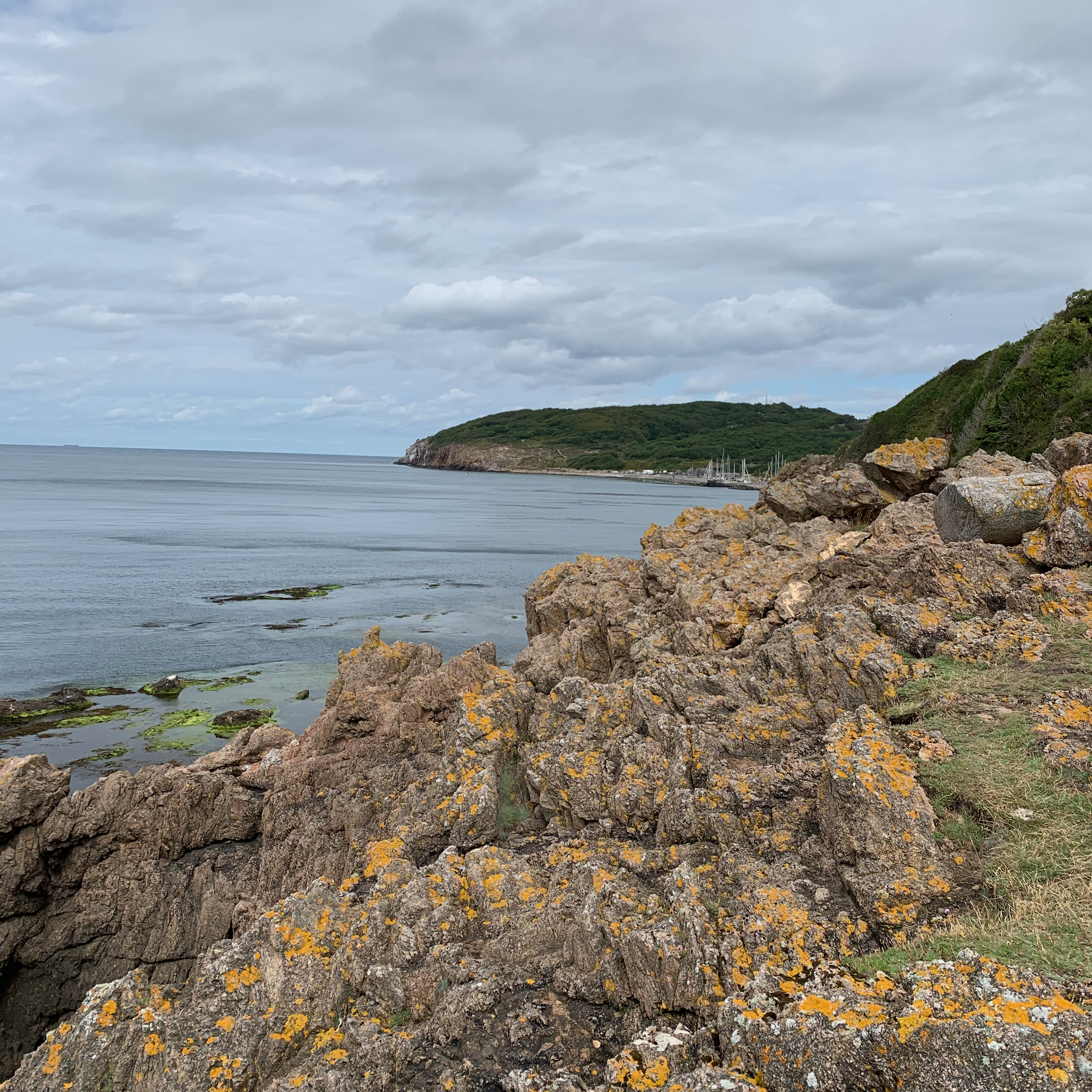 Grøn Trepart på Bornholm mød jeppe bruus